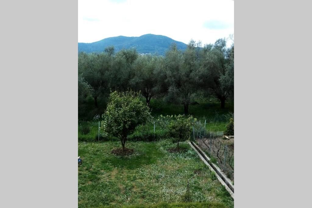 Υπεροχη Διαμονη... Achílleion Exterior foto